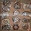 Ladies Belts Buckels high