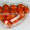 plastic heart shape container