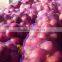 wholesale Fresh Onion Yellow Onion red fresh onion expor to dubai