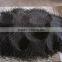 BLACK PEPPER FOR SELL