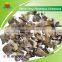 Most Popular Dried Grey Pleurotus Ostreatus