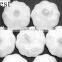 PURE WHITE FRESH GARLIC 4.5CM