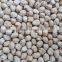 Kabuli Chickpeas at wholesale price