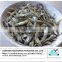 Dried Anchovy fish supplier