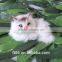 plush best made toys stuffed animals cheap custom animals