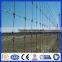 Cheap Hot Dipped Galvanized Fixed Knot Field Fence