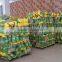 Factory Stock Big Discount Cheap Plant fiber mosquito coil, Mosuito paper coil