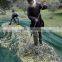 UV Treated Olive Harvest Net