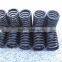 Diesel Engine Valve Spring for Agriculture Tractor