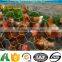 Chicken wire per meter stainless stell chicken wire fencing panels