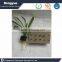 100 X 1.5" SPONGE CUBES Seeds Grow Sponge Germination Foam For Hydroponic Grow Systems