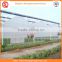 Agriculture equipment multi-span 10.8m plastic PO film greenhouse for sale