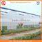 Agriculture equipment multi-span 10.8m plastic PO film greenhouse for sale