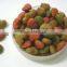 Yummy Menu Dog Food