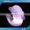 Outdoor light up outdoor christmas decorations with color changing leds GKD-004TY