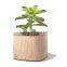 small wooden flower pot wooden wooden flower box