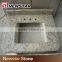 Newstar Sunny Flower Brazil Granite Quarry Low Price Vanity Top