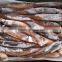 2016 delicious fresh seafood illex squid 200g-300g for market