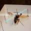 Mounting supplies 38mm resin head insect dissection pins in tube packing