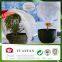 Customization Width and 15-100gsm,PP non-woven,100% Polypropylene Material tomato plant protective cover