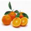 Fresh Valencia orange