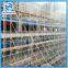 Aluminum Ringlock Scaffolding with Reasonable Price