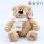 Beige color plush toys bear christmas scarf