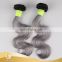 New arrival grey color 100% virgin brazilian human hair Body Wave, best selling products 2017 in USA