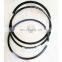 ISBE6.7 Diesel Engine Parts Piston Ring Set 3970518 4955366