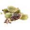 Cardamom with price from Vietnam