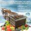 industrial cabbage lettuce cleaner washer vegetable and fruit bubble washing machine with ozone