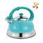 3.0L home useful drinkware of water kettle with colorful coating on body