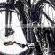26 Inch Good Quality 7 Speed Aluminum Hub Drive Electric Fat Mountain Bike
