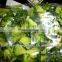 IQF Broccoli