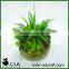 Hot Artificial Mixed Potted Plants Arangement in Concrete Barrel Pot
