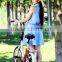 Mini,electric bike with 20" wheels,good popular in europed