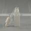 15ml rectangle white dropper glass bottle with childproof cap                        
                                                                                Supplier's Choice