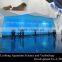 A class plexiglass sheet for aquariums