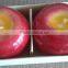 Inventory fruit candle- inventory half -red green apple candle