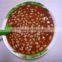 canned food of canned baked beans in tomato sauce
