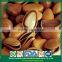 Direct Buy from China Snack Foods CIF Siberian Cedar Open Pine Nuts in Shell