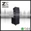 pro audio loudspeaker system
