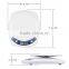 1kg/0.1g digital kitchen scale electronic