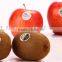 self adhesive roll label PP for food