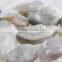 Agate druzy stones