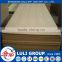 full poplar plywood 3mm to 25mm with carb,CE,FSC to America and Europe market