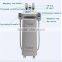 2016 Golden Manufactures! Cryolipolysis 220 / 110V Fat Freeze Slimming Machine Vertical