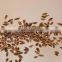 High Quality Dill Seeds