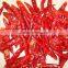 EXPORT QUALITY RED CHILI FOR SUPPLY