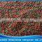 AQUAV Bucket Goldfish pellet 10L